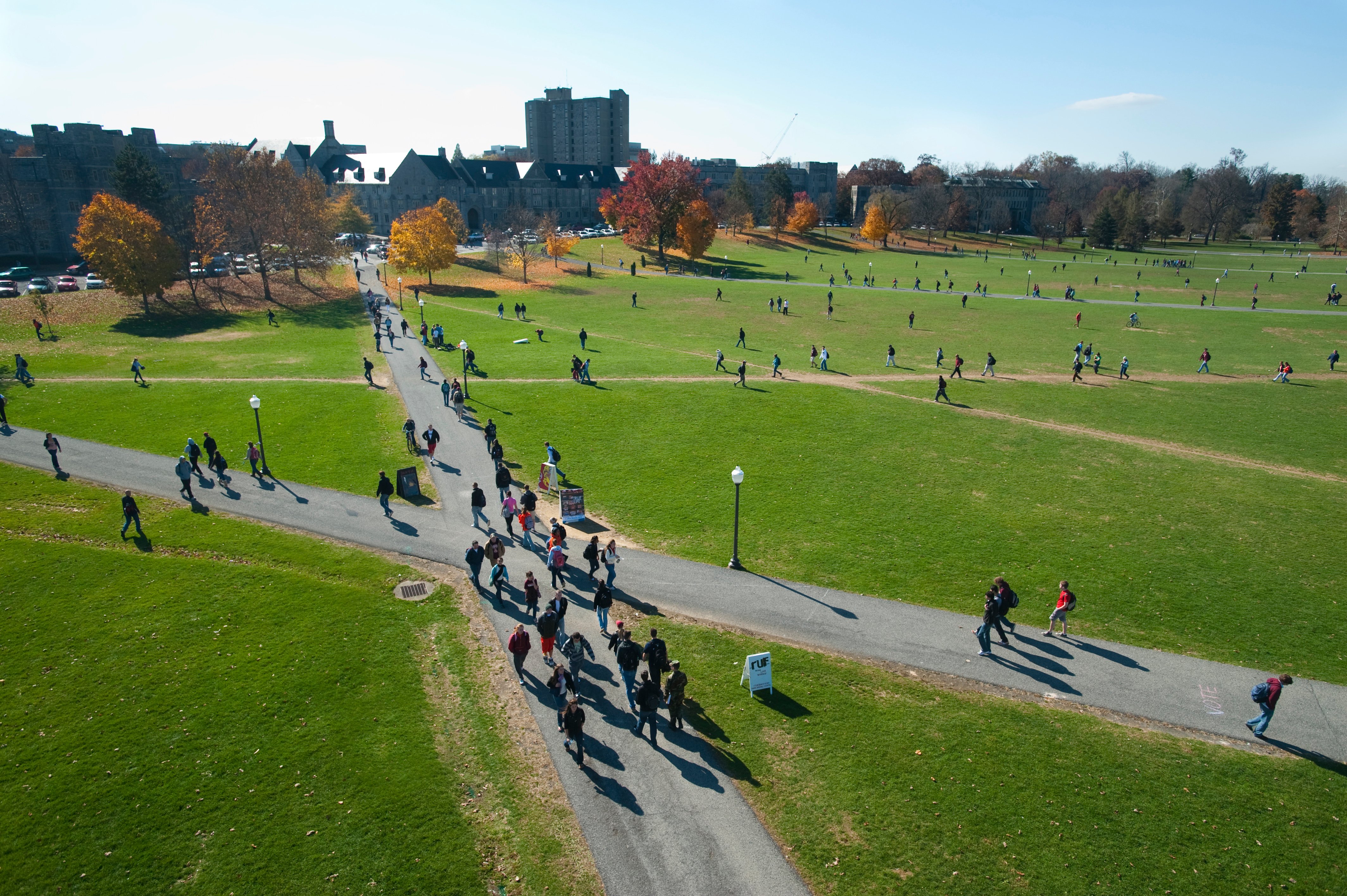 Desire Paths at the Drillfield of Virginia Tech